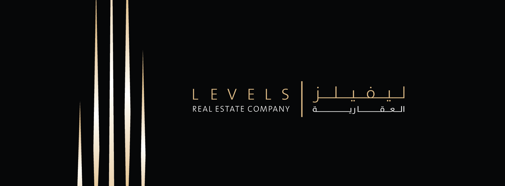 LEVELS REAL ESTATE_cover .png