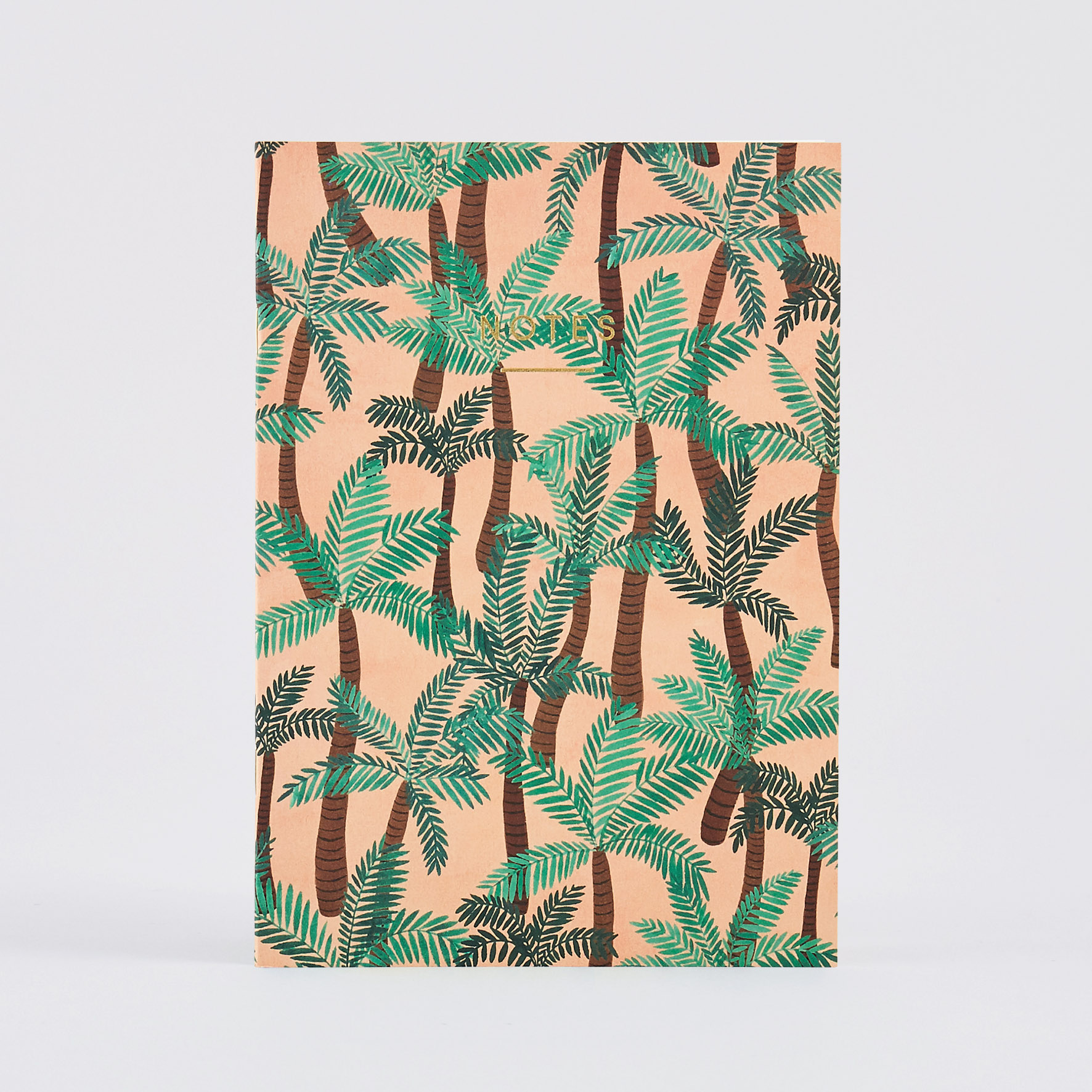NBK64 Regular Palm Trees Image 1.jpg