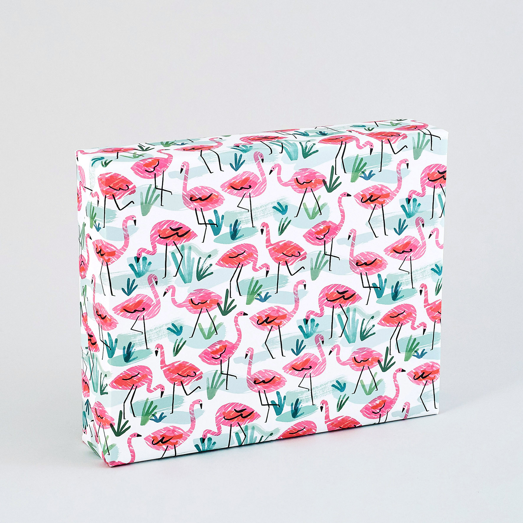 WP35 Flamingos.jpg