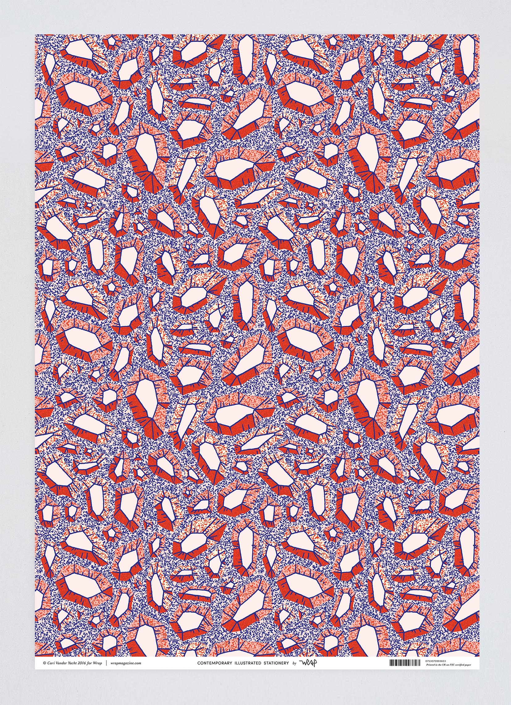 WP65 Image 3.jpg