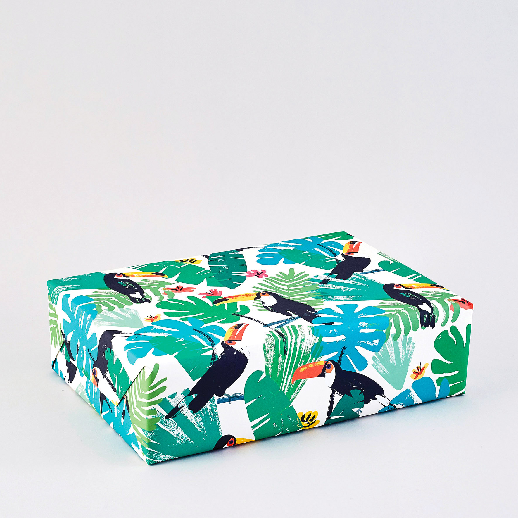 WP61 Toucans.jpg