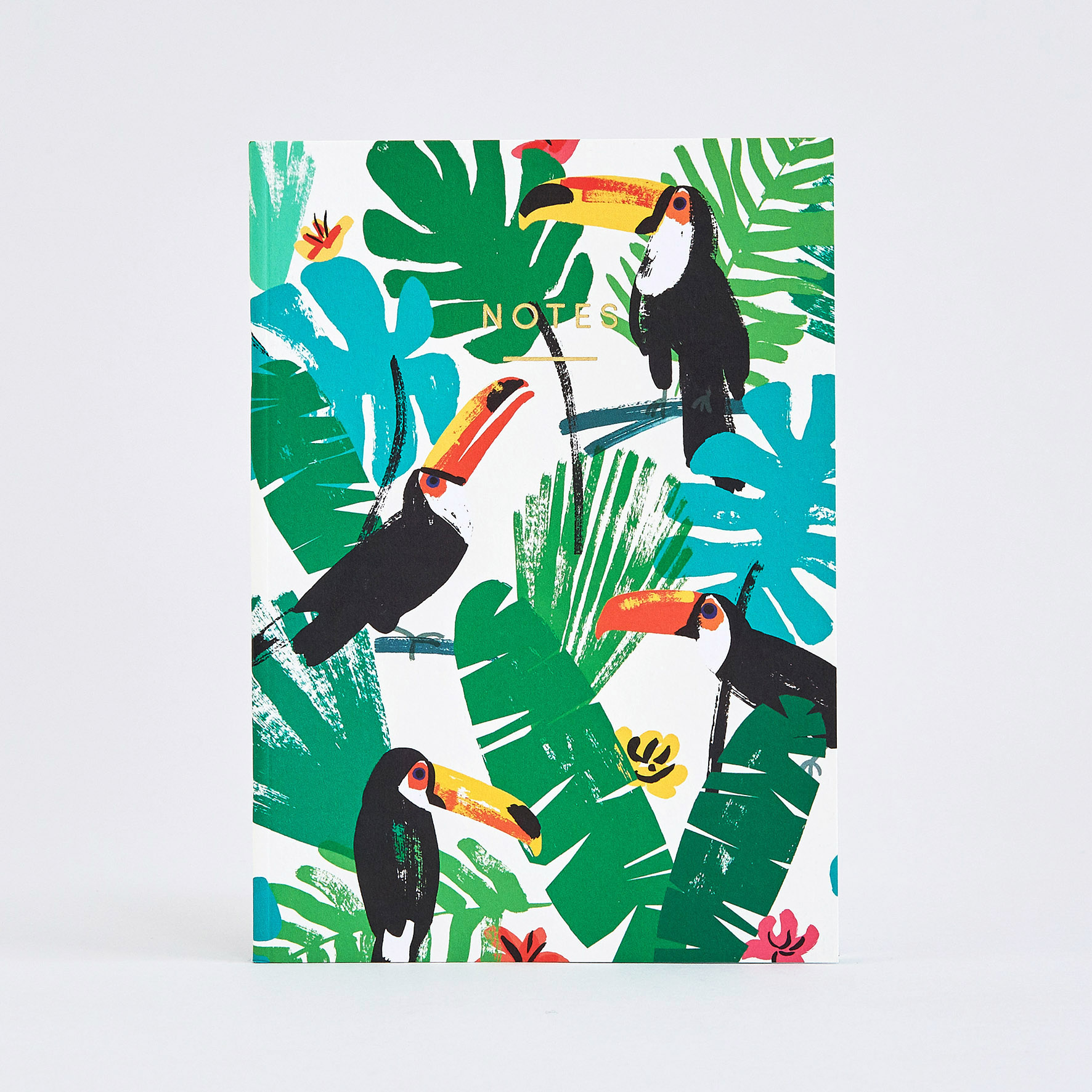 NBK42 Regular Toucans Image 1.jpg