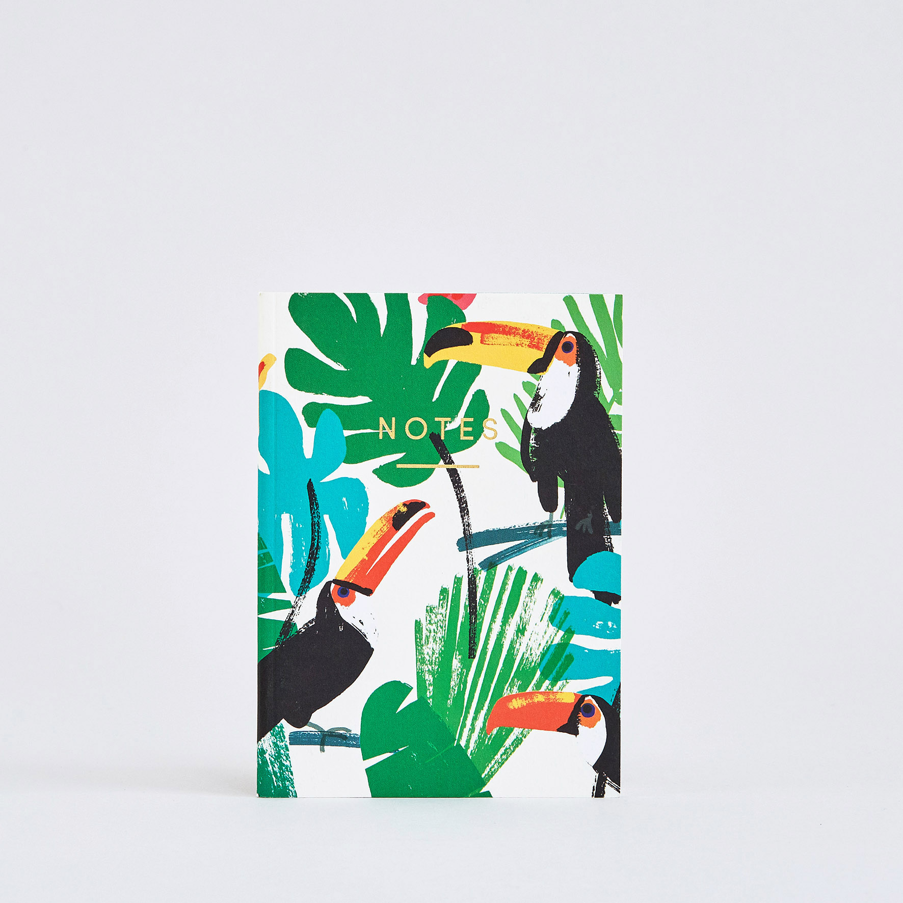NBK43 Mini Toucans Image 1.jpg