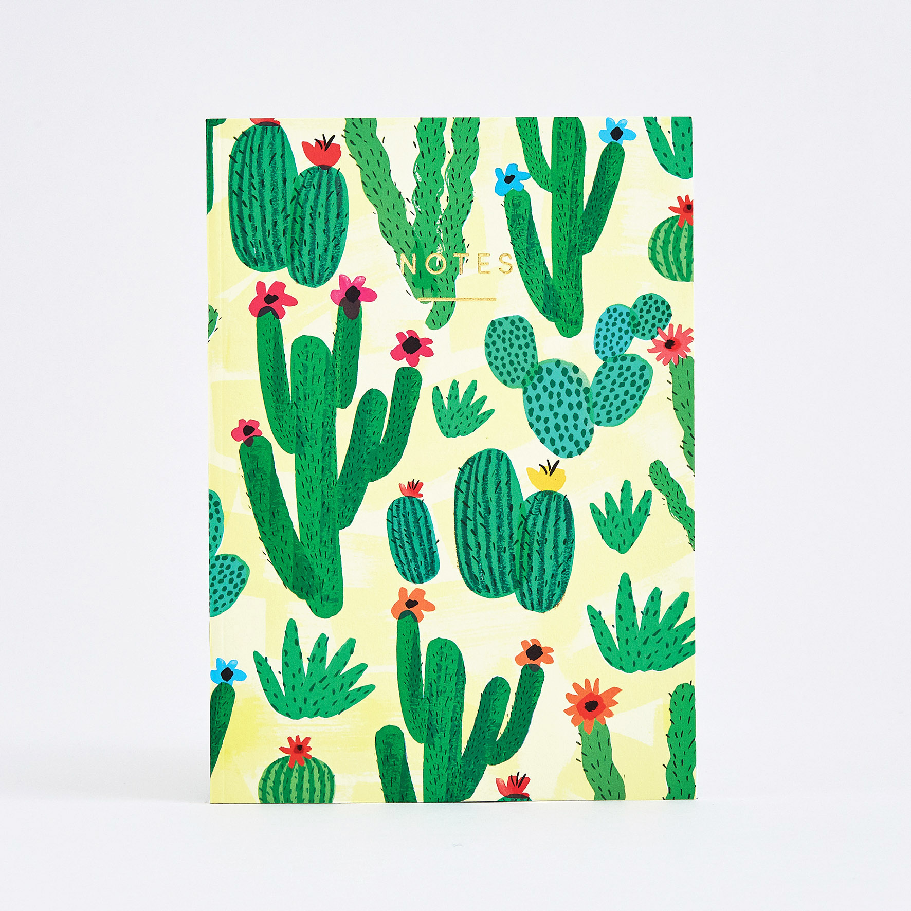 NBK62 Regular Cactus Image 1.jpg