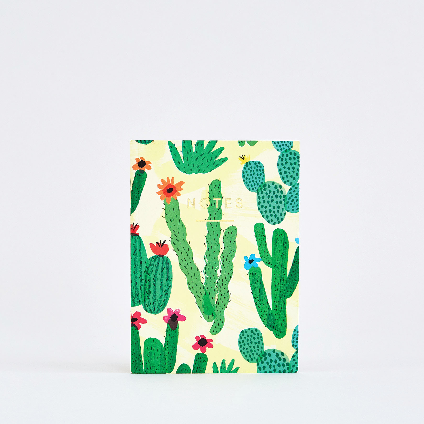 NBK63 Mini Cactus Image 1.jpg