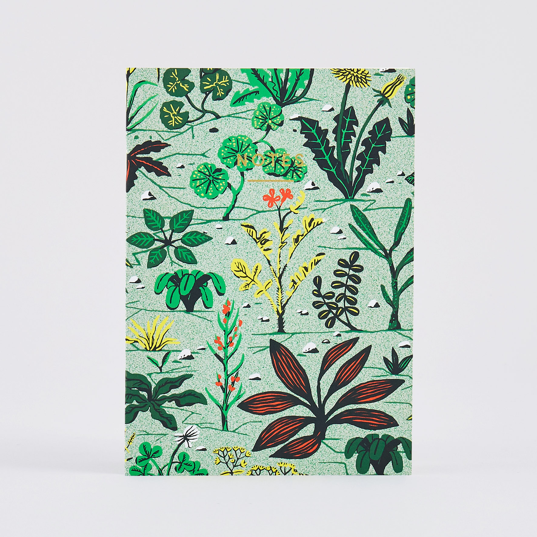NBK68 Regular Weeds Image 1.jpg