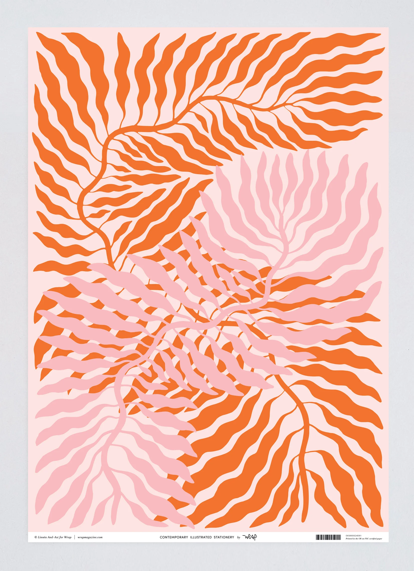WP83 Image 3.jpg