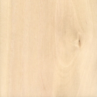 european-hornbeam.jpg