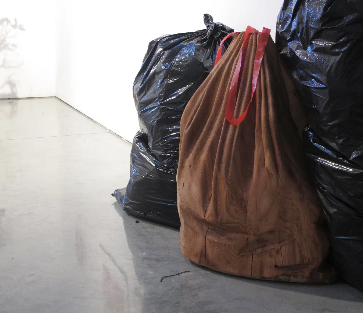 Baggage - Red cedar, plastic - (2011)