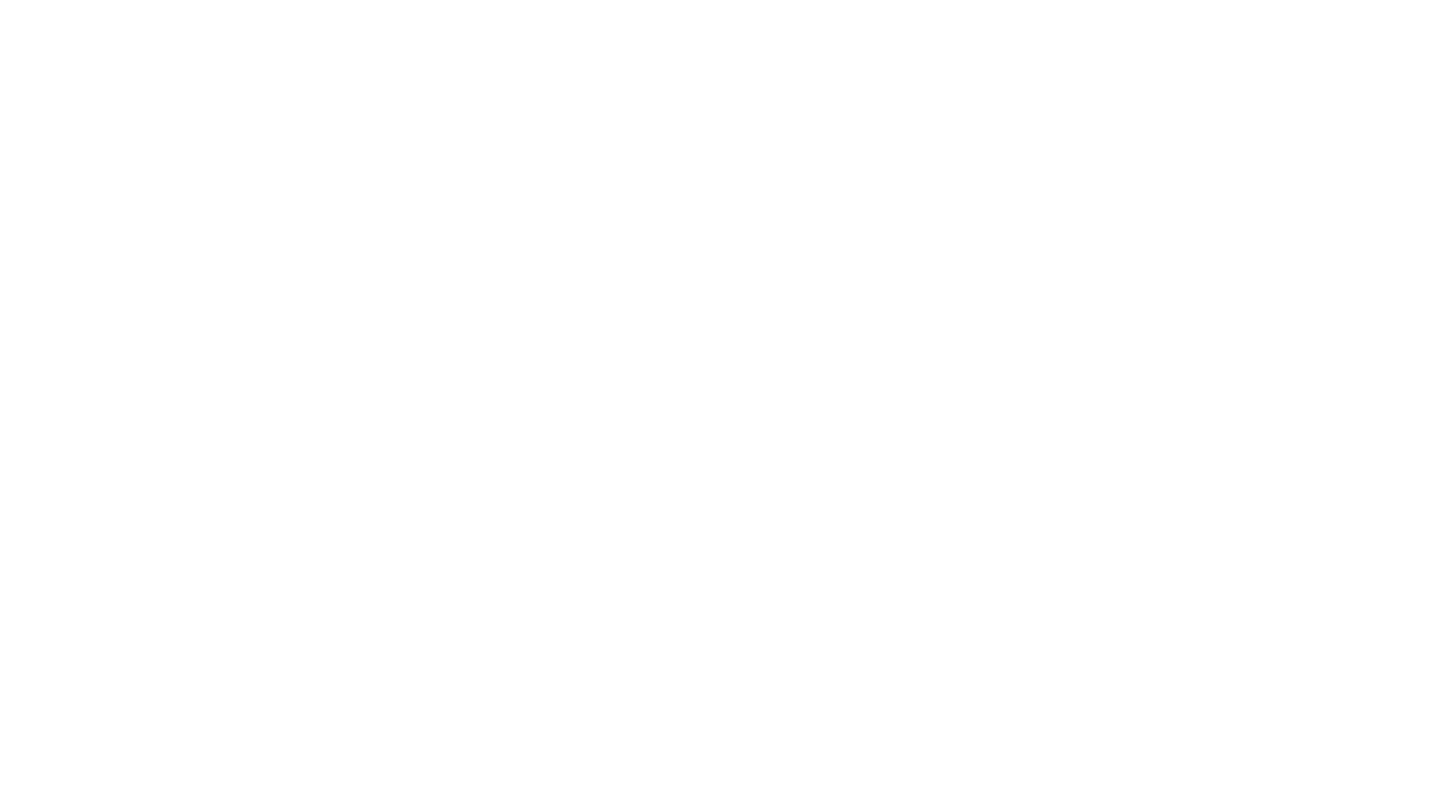 CloviSeiji Photography