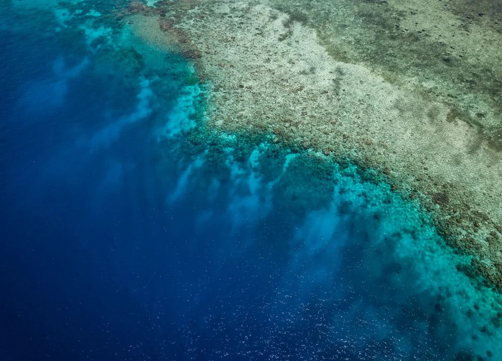 DJI_0004.jpg