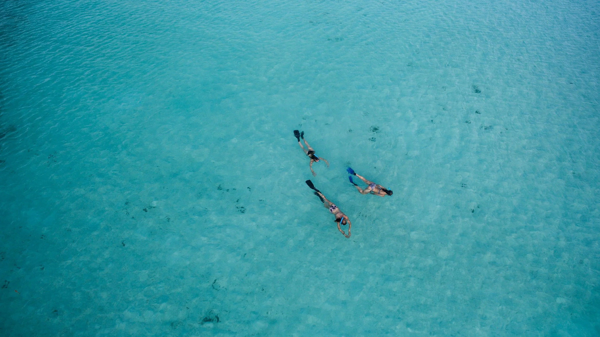 FREE DIVING: A BEGINNER'S GUIDE