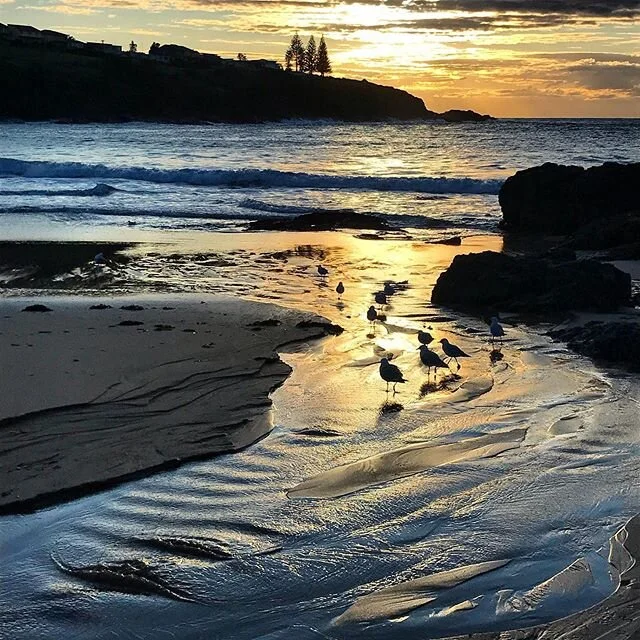 TRIGGER WARNING. This post mentions &rsquo;USA presidential candidates&rsquo; 🤭
Are we our words or are we our actions? I know, I know! It&rsquo;s how we spend our days is how we live our lives, not the story we tell... but still I couldn&rsquo;t ge