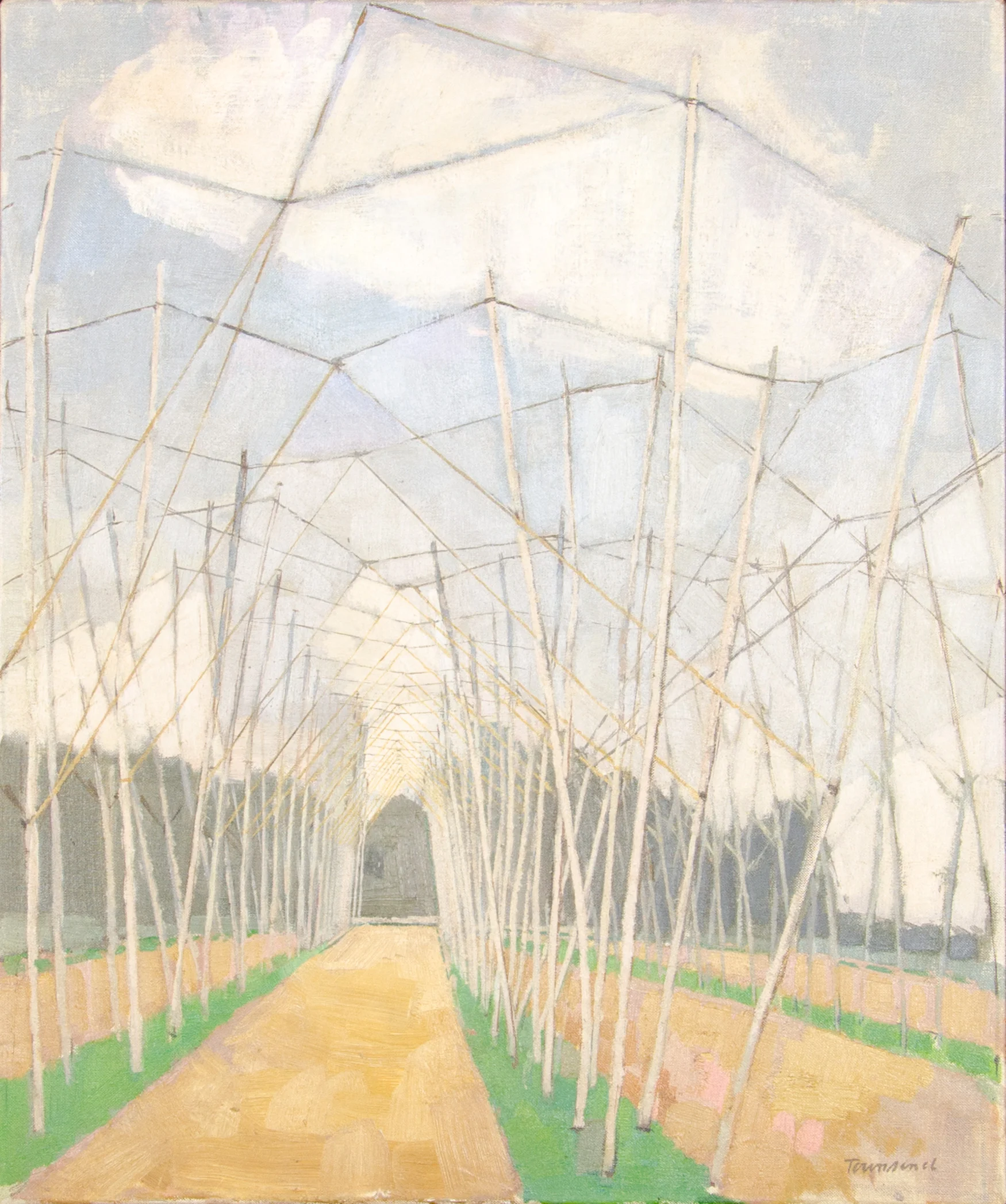 Townsend-6256-Hop-Garden,-Spring_photo-Charles-Cousins-CROPPED.jpg