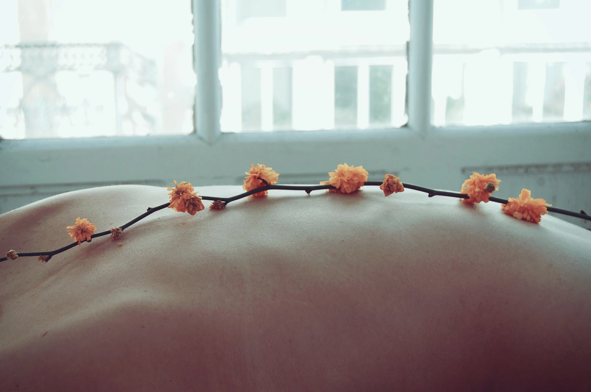 pexels-photo.jpg