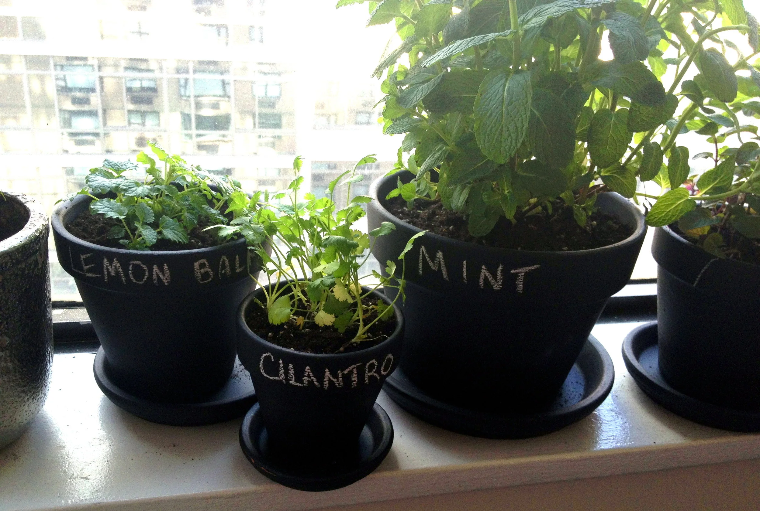 photo-15.jpg