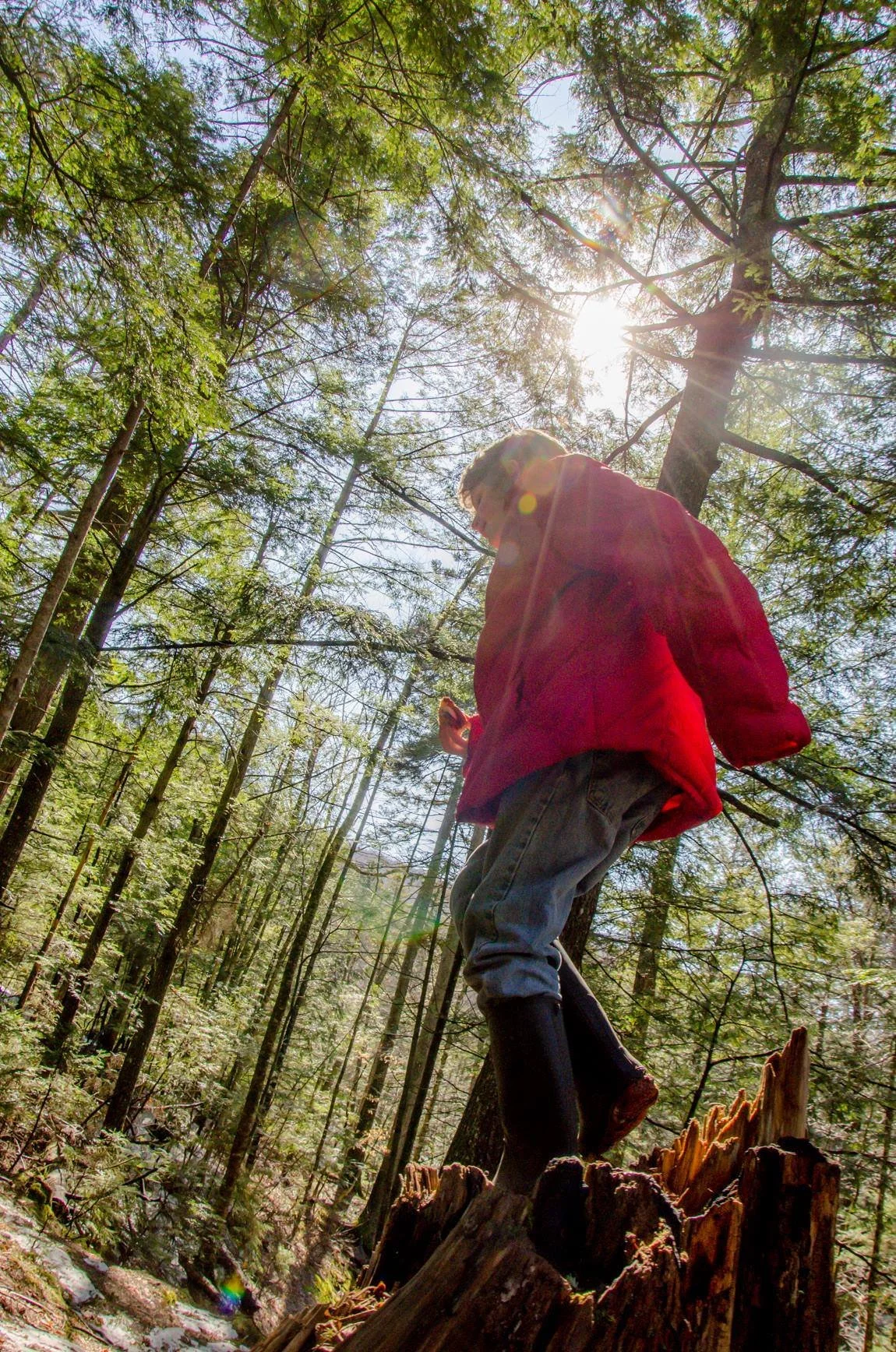 outdoorlearning14.jpg