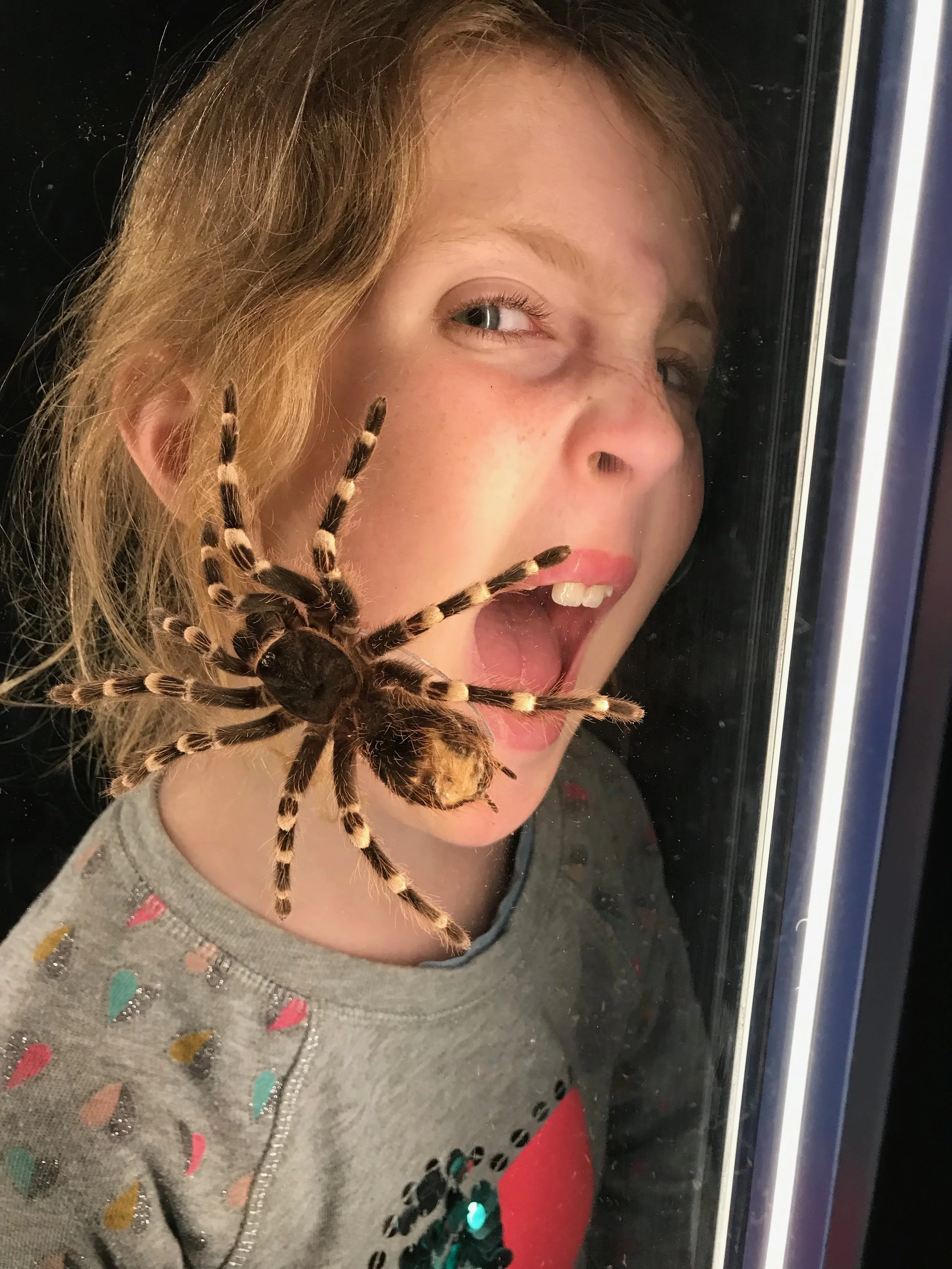 MVCS Halloween Party- 1st-4th Grades