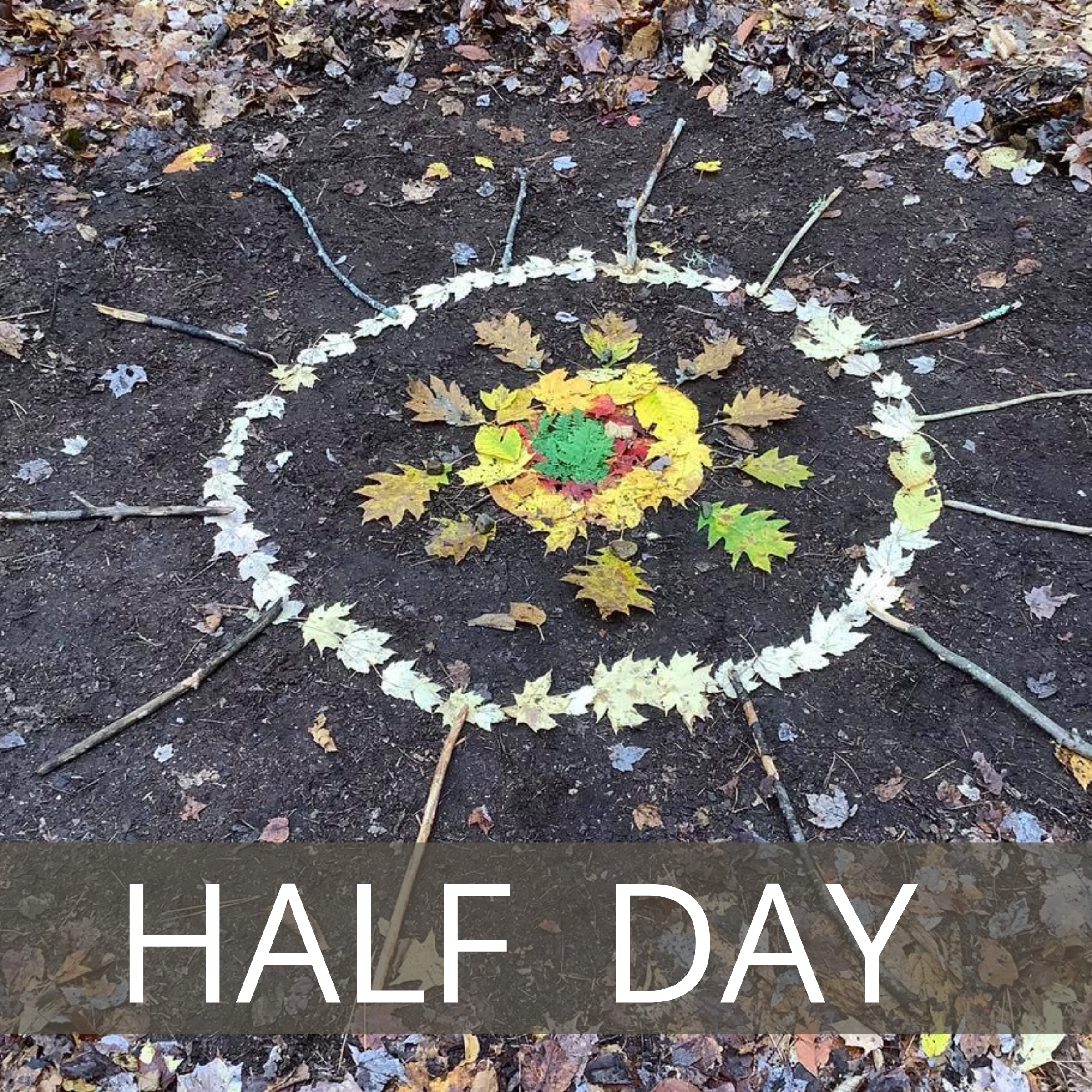 Thanksgiving Break- Half Day