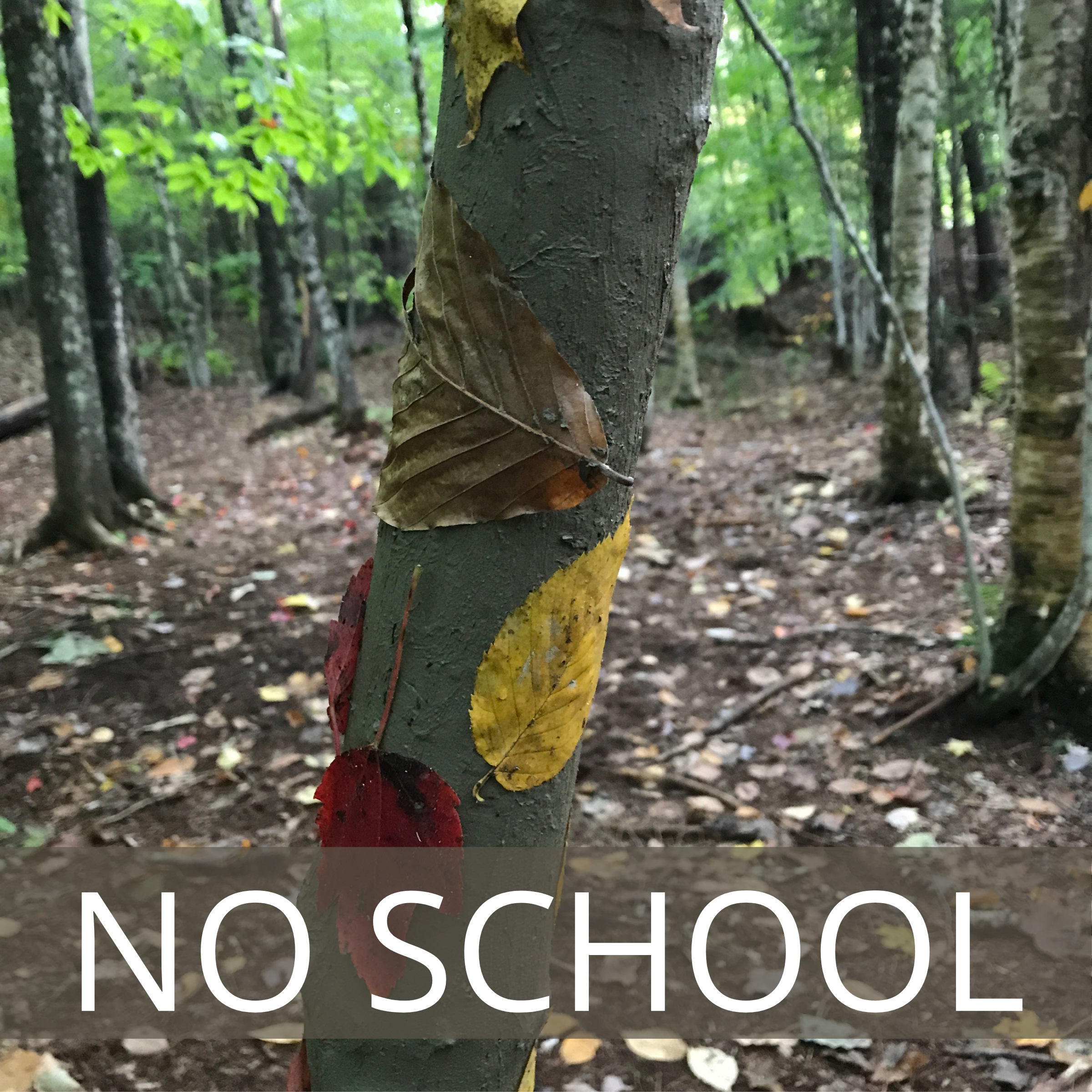 Parent Teacher Conferences- No School