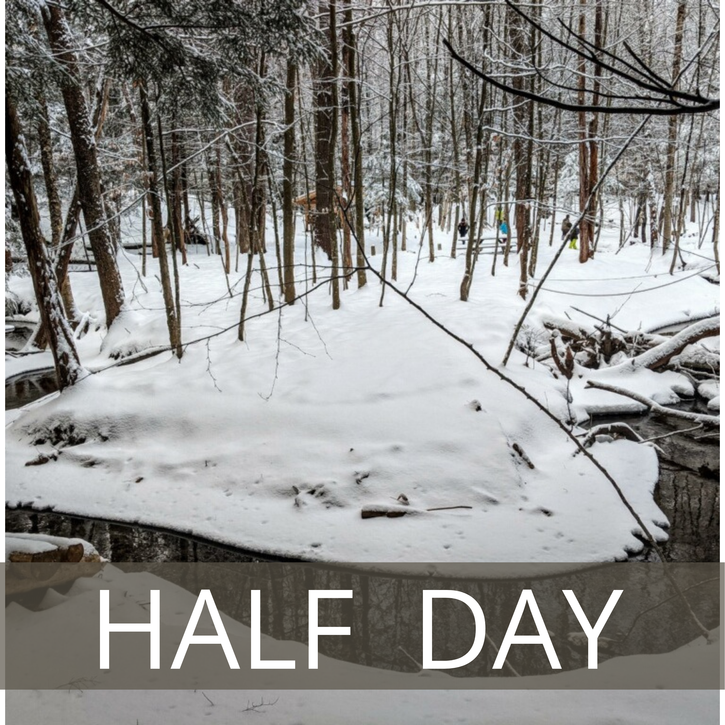 Holiday Season Break- Half Day