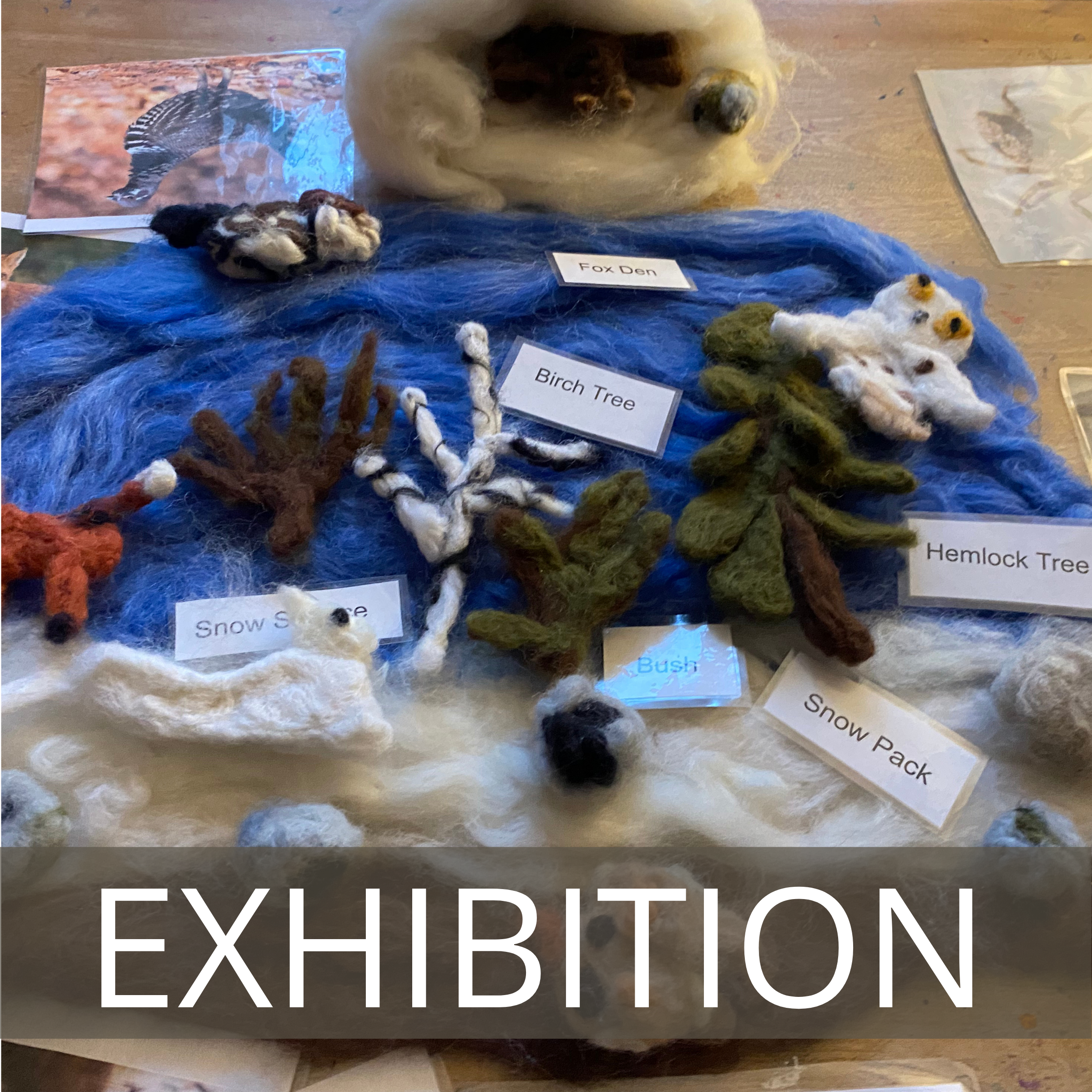 Exhibition Night
