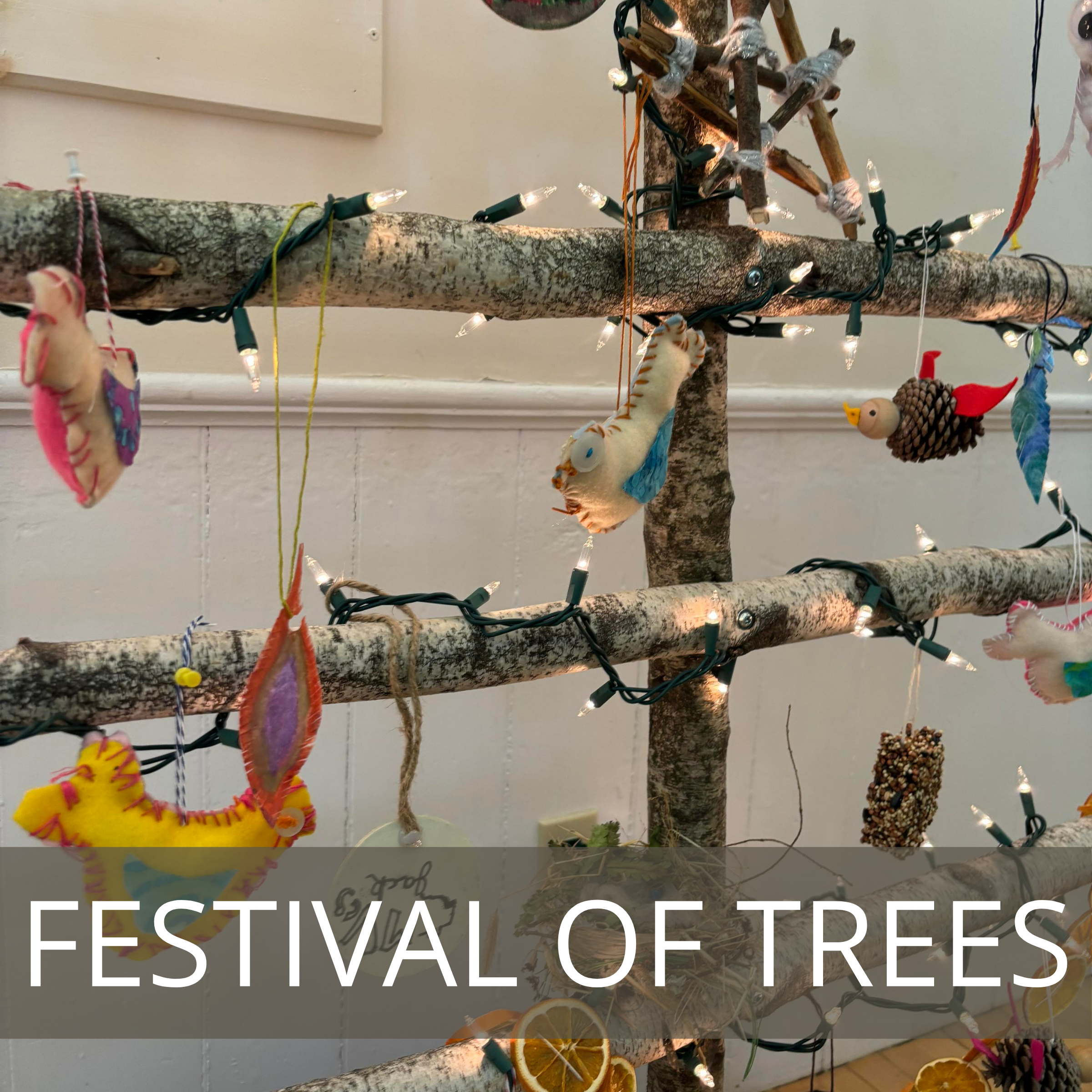 Festival of Trees