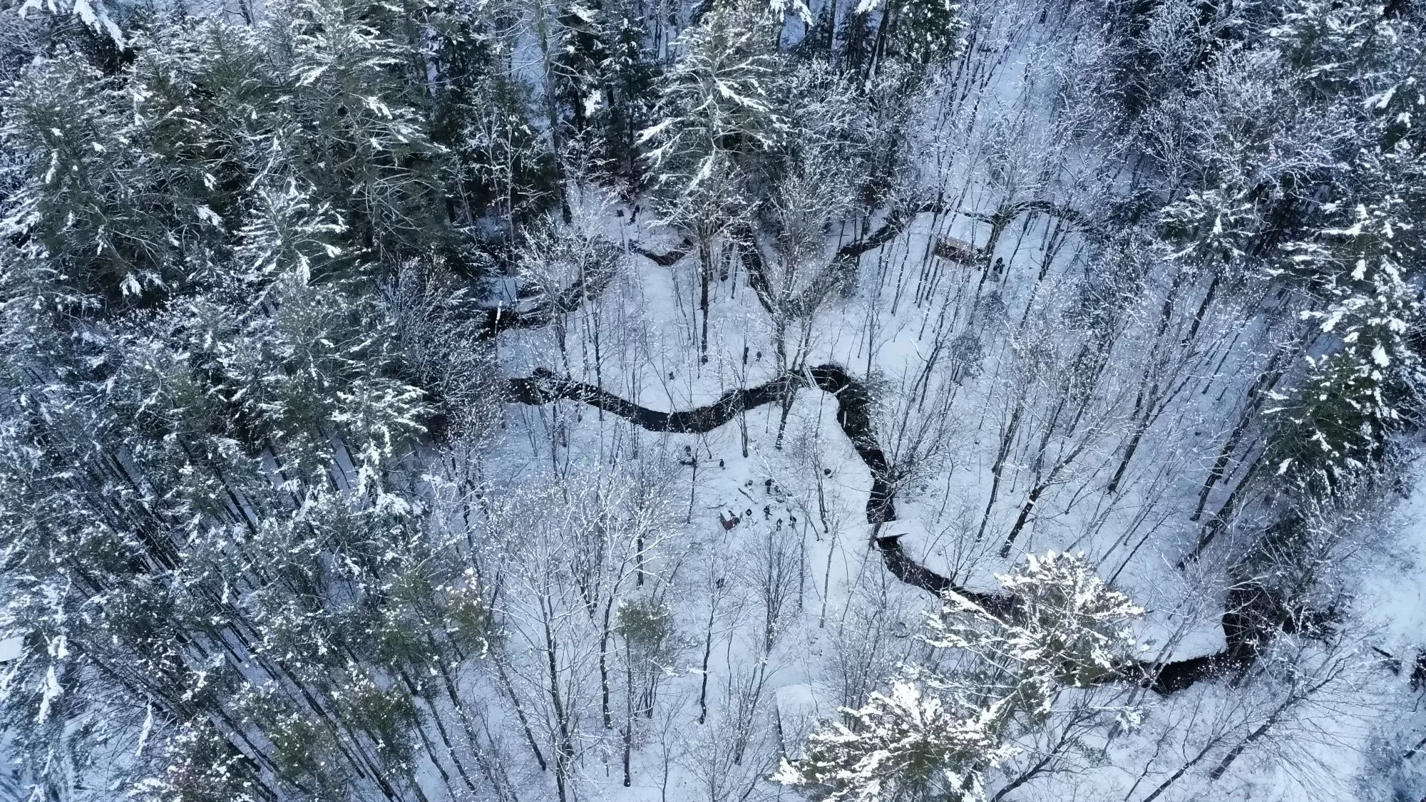 dji_fly_20231205_080800_470_1701781687927_photo_optimized.jpg