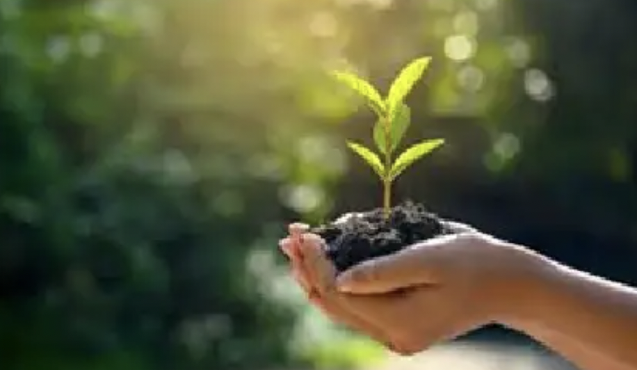  Sustaining Sustainability Goals in the New Normal by Saurabh Krishna