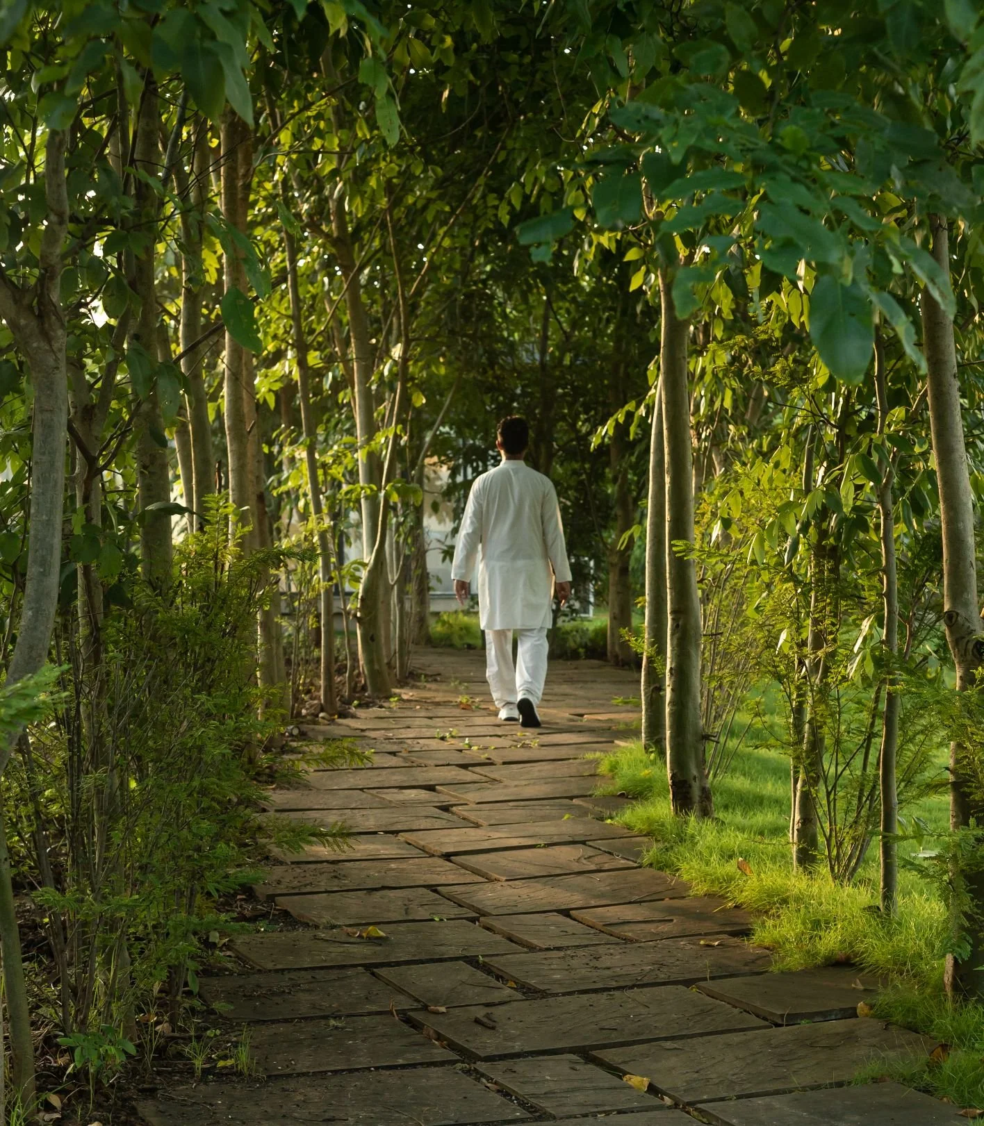 Woods At Sasan (4).jpg