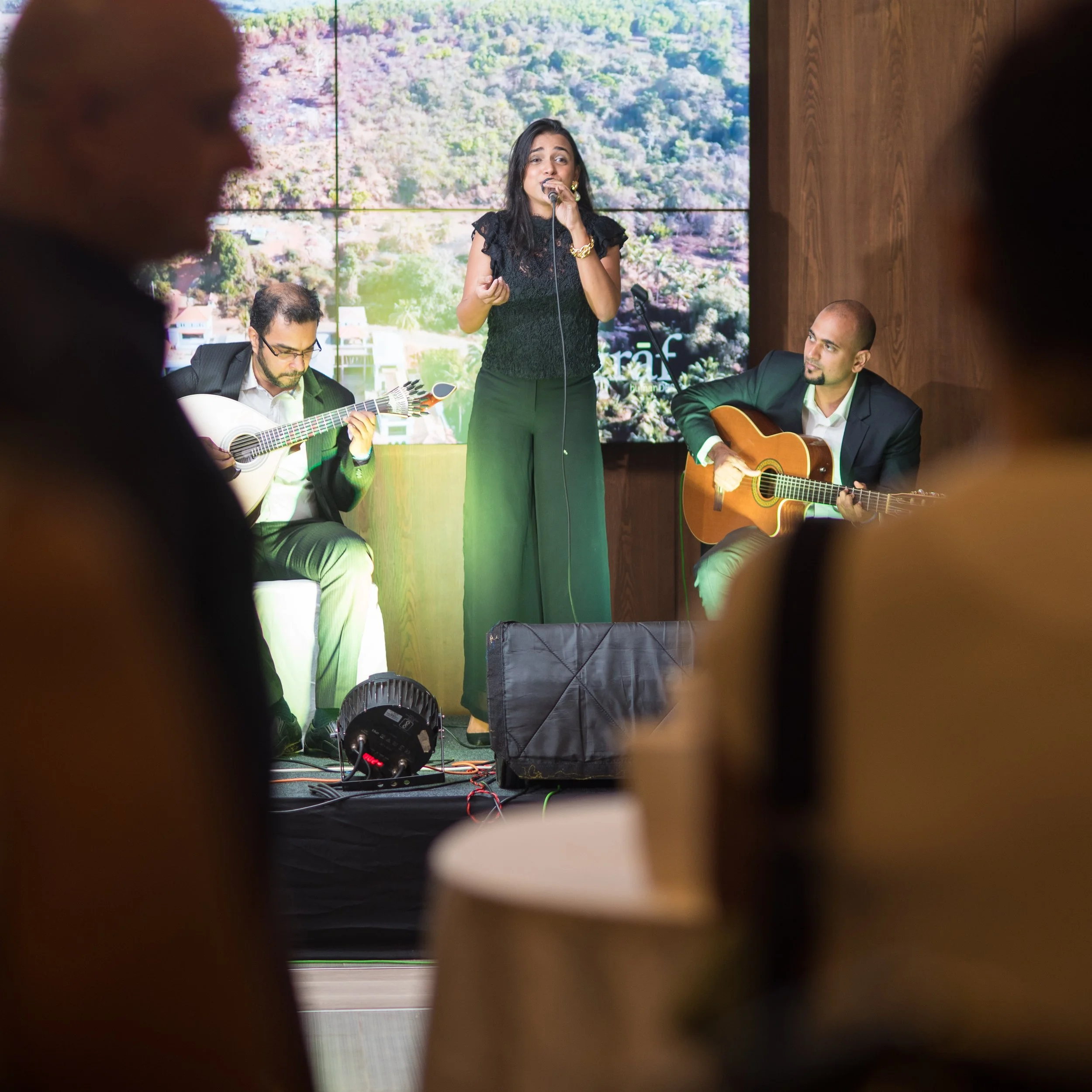 Live Music at Goenchem Fest.jpg