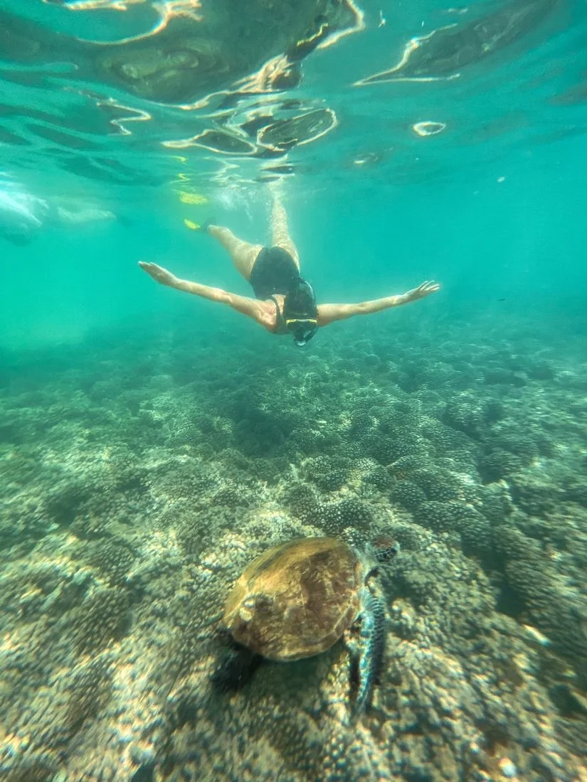 Deep Sea Diving, Shangri-La Barr Al Jissah Muscat.jpg