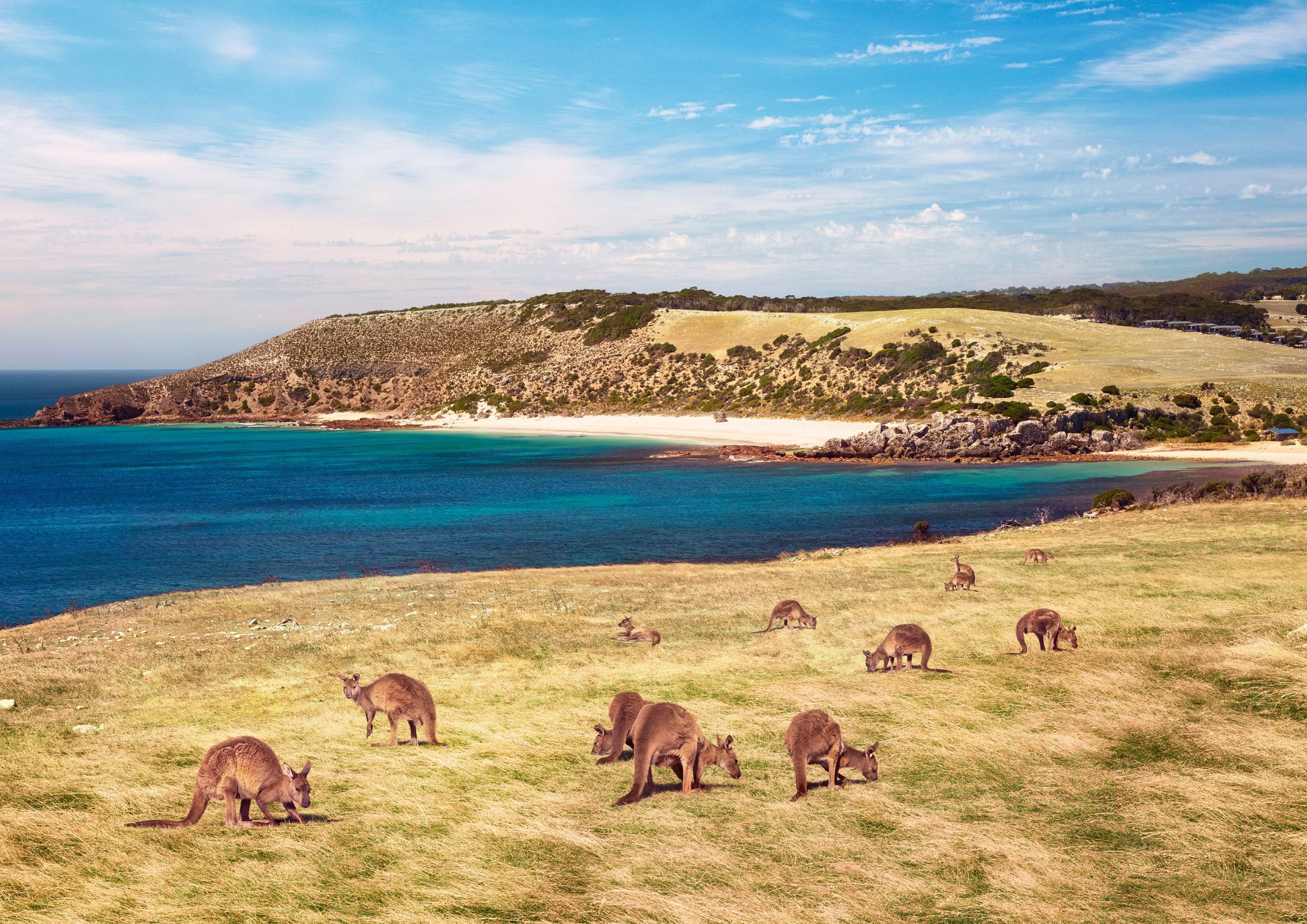 Kangaroo Island, South Australia.jpg