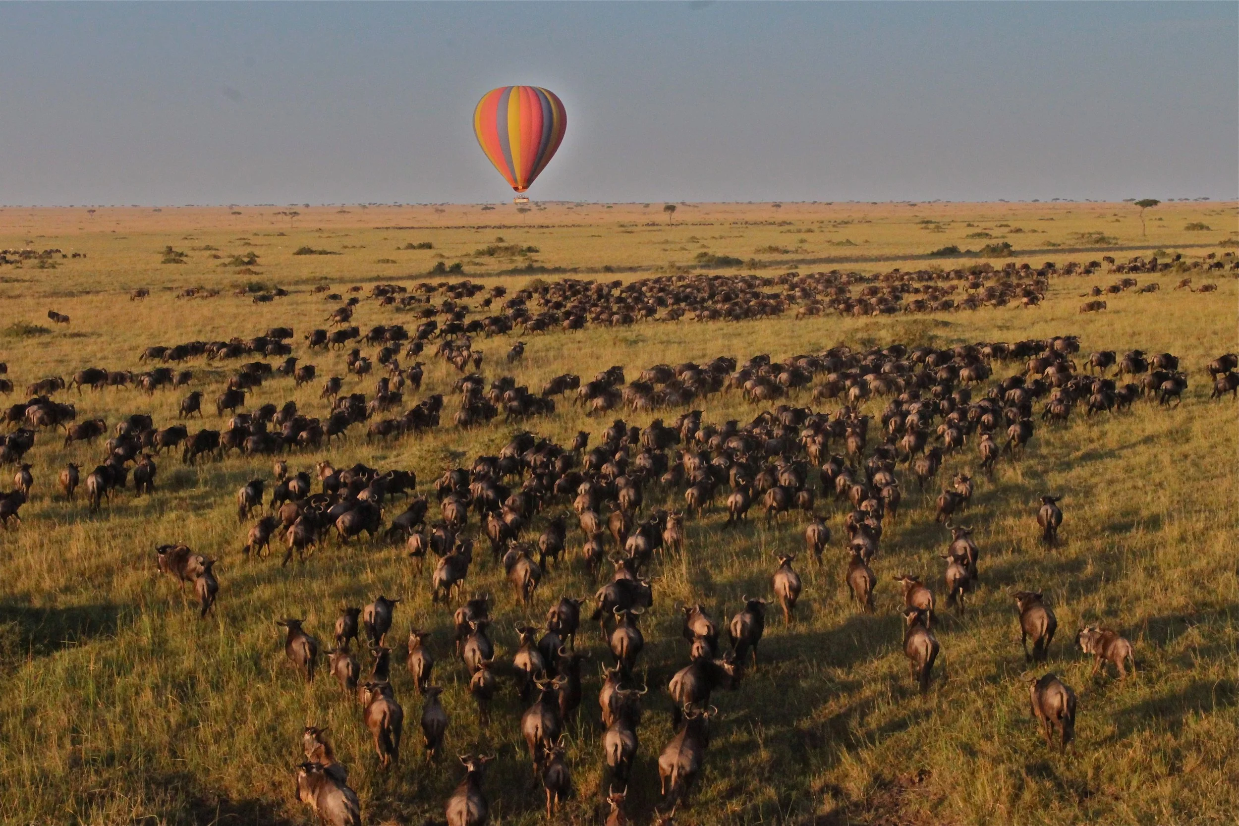 Ballooning over the Great Migration.JPG