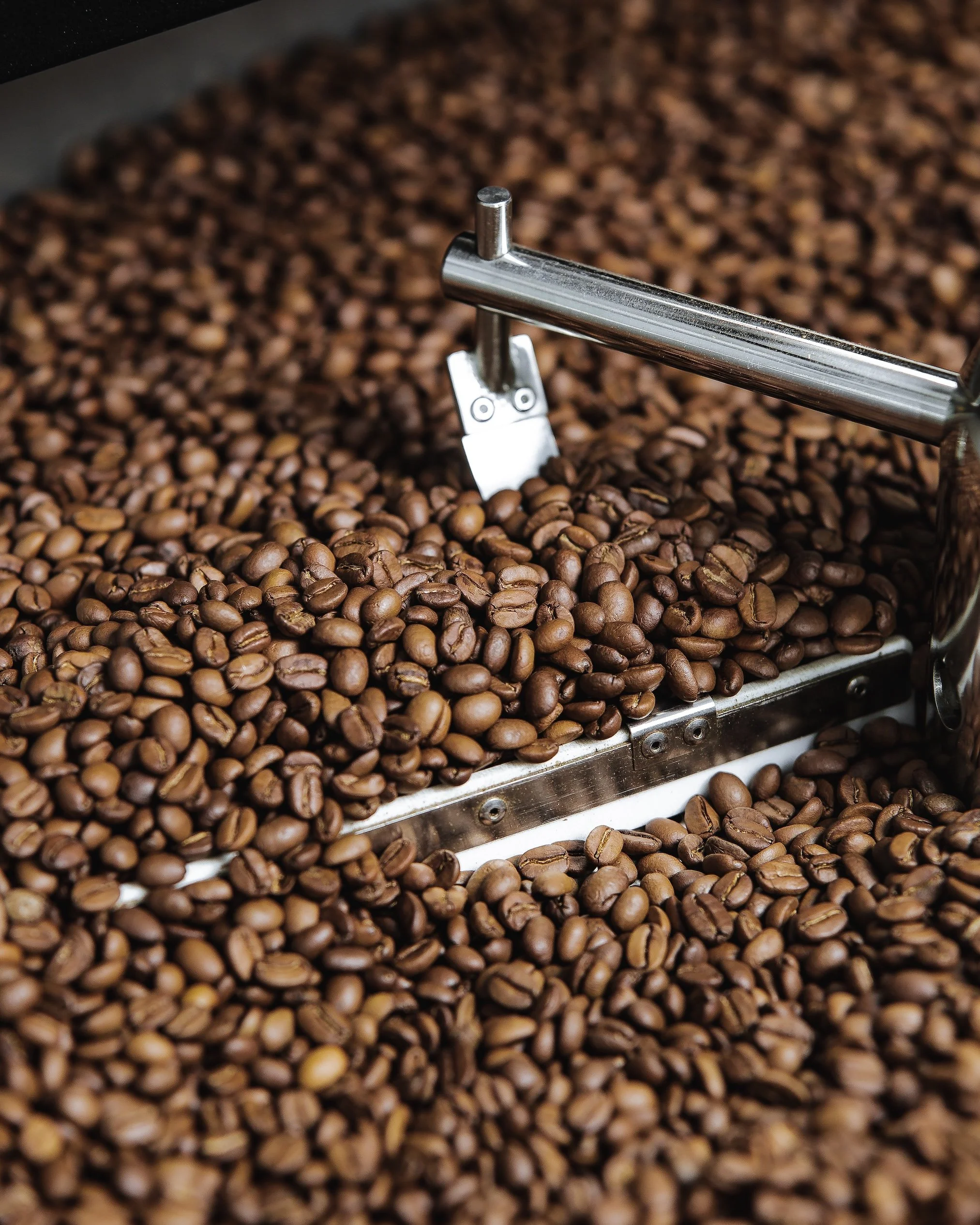 Siolim Coffee: Redefining Specialty Coffees in India with ...