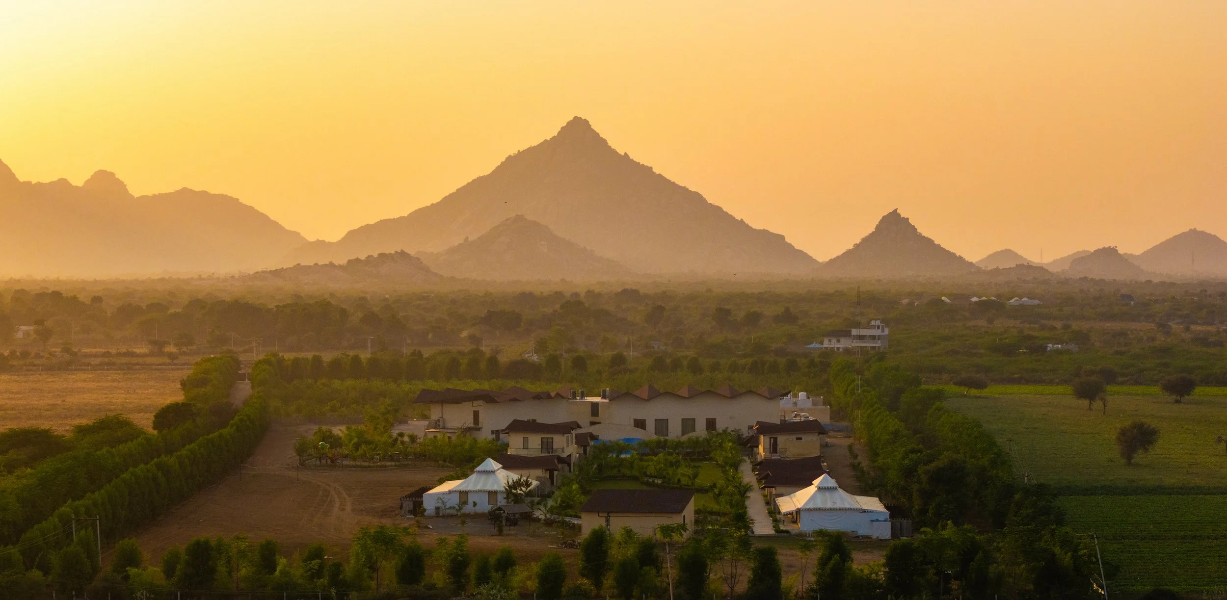 The Forest Chapter Jawai.jpg