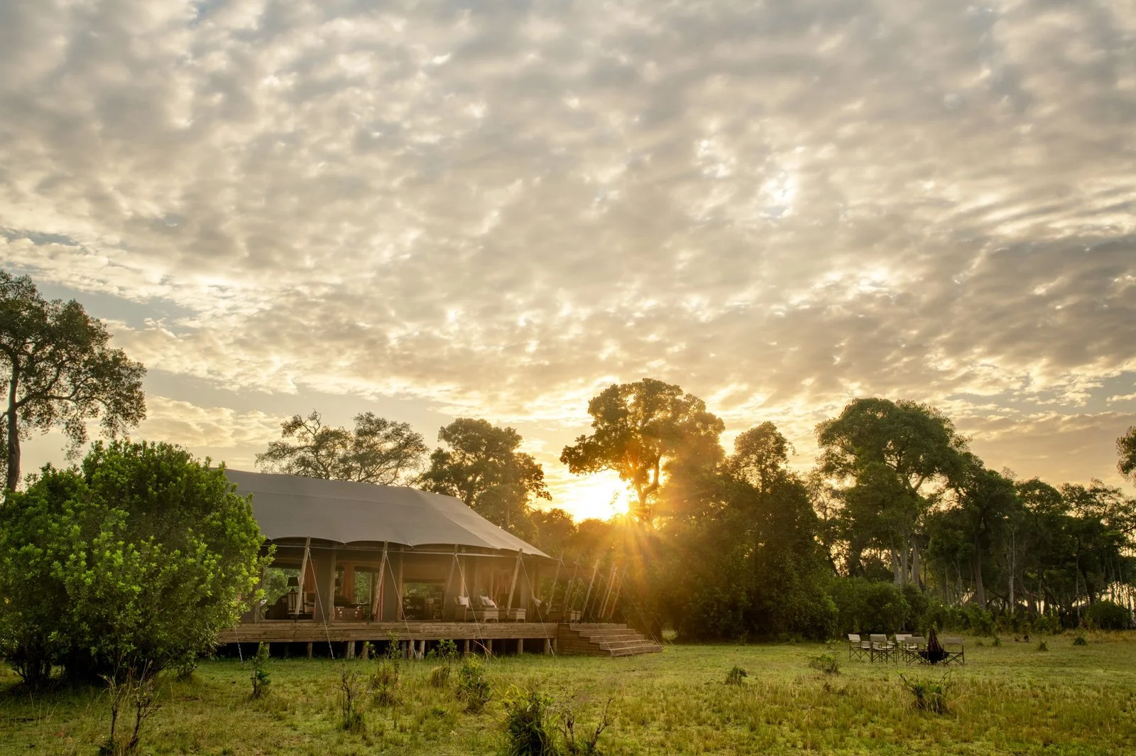 Paradise Plains Adds a Sky Walk, Coffee Bar and Wellness Menus to Its Masai Mara Safari Camp