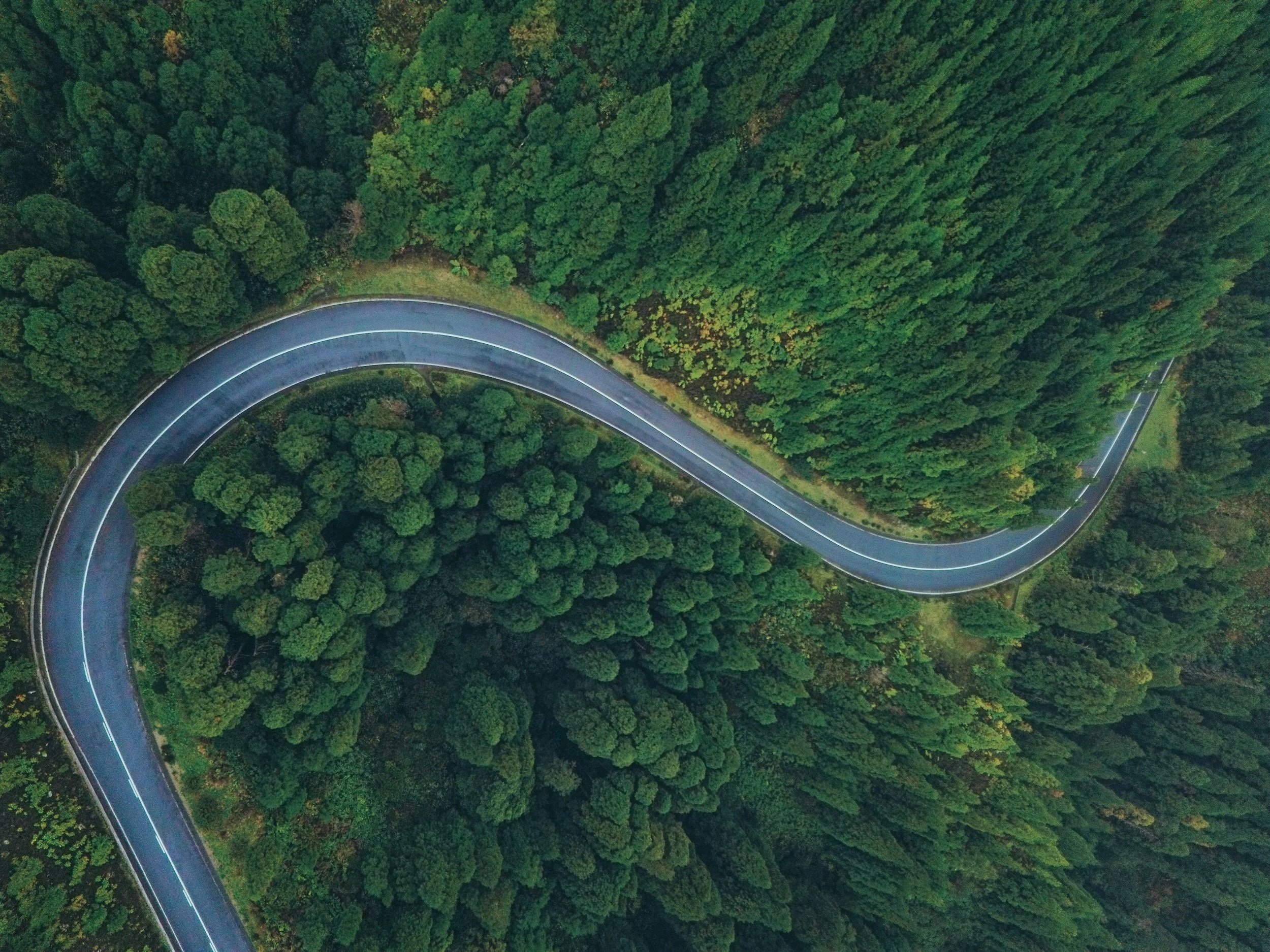 unsplash-image-Usy12zpjZ5Y.jpg