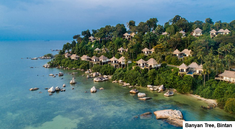 Banyan Tree_Bintan.png