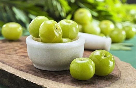 AMLA INTRO PIC 2.jpg