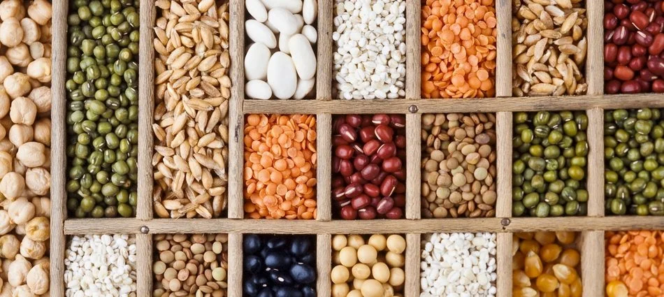 introduction pic for seeds.jpg