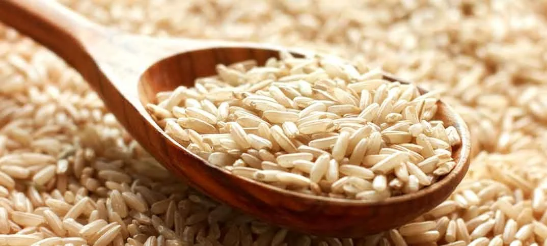 brown rice intro pic 1.jpg