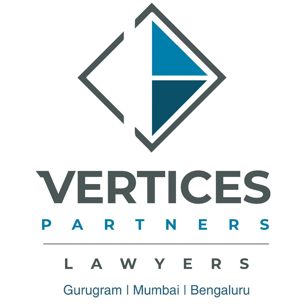 VERTICES PARTNERS logo (1).jpeg