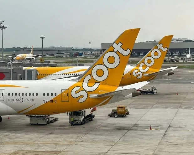 Scoot Image (2).jpg