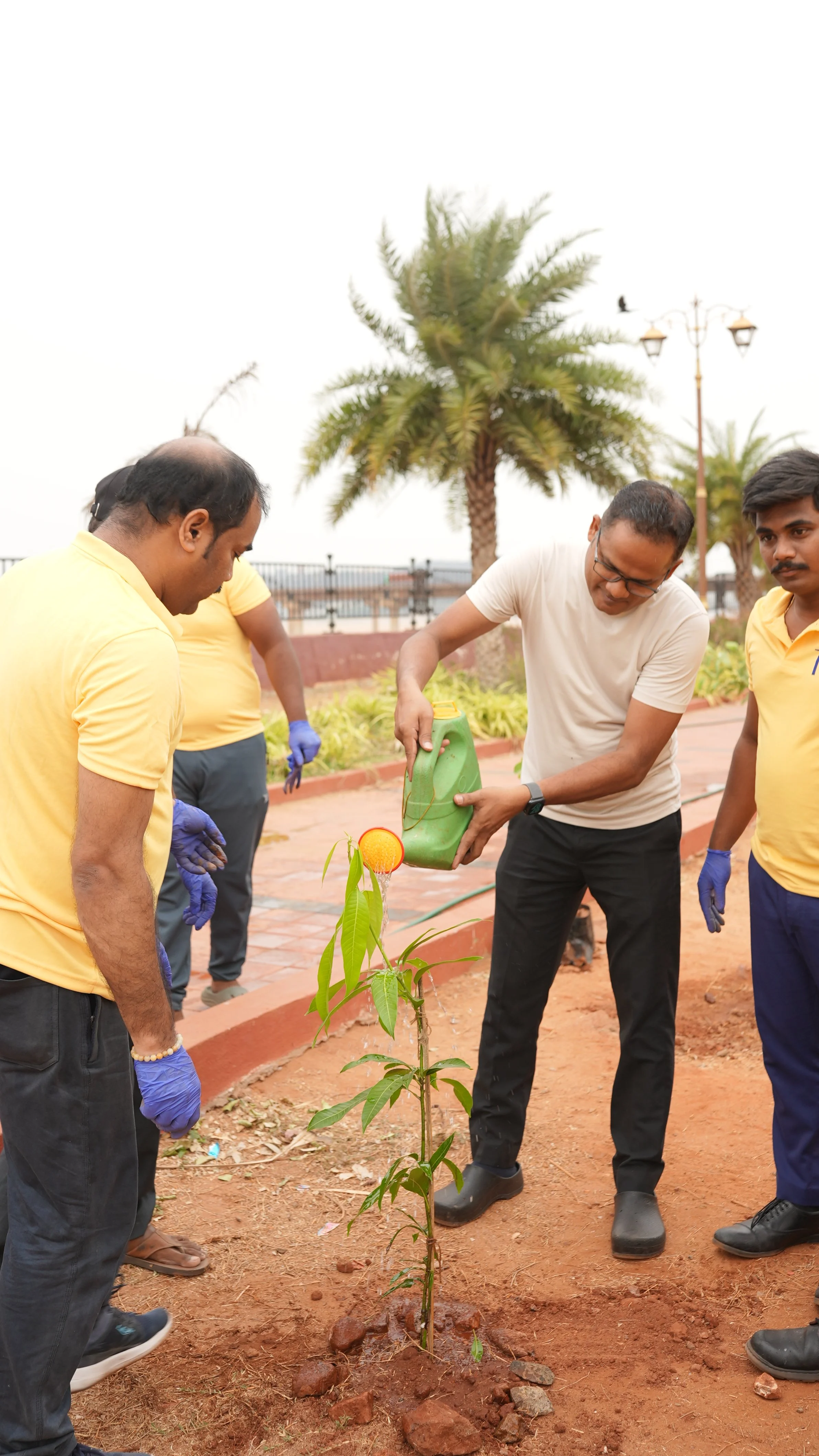 Tree Plantation Initiative by Novotel Vijayawada.JPG