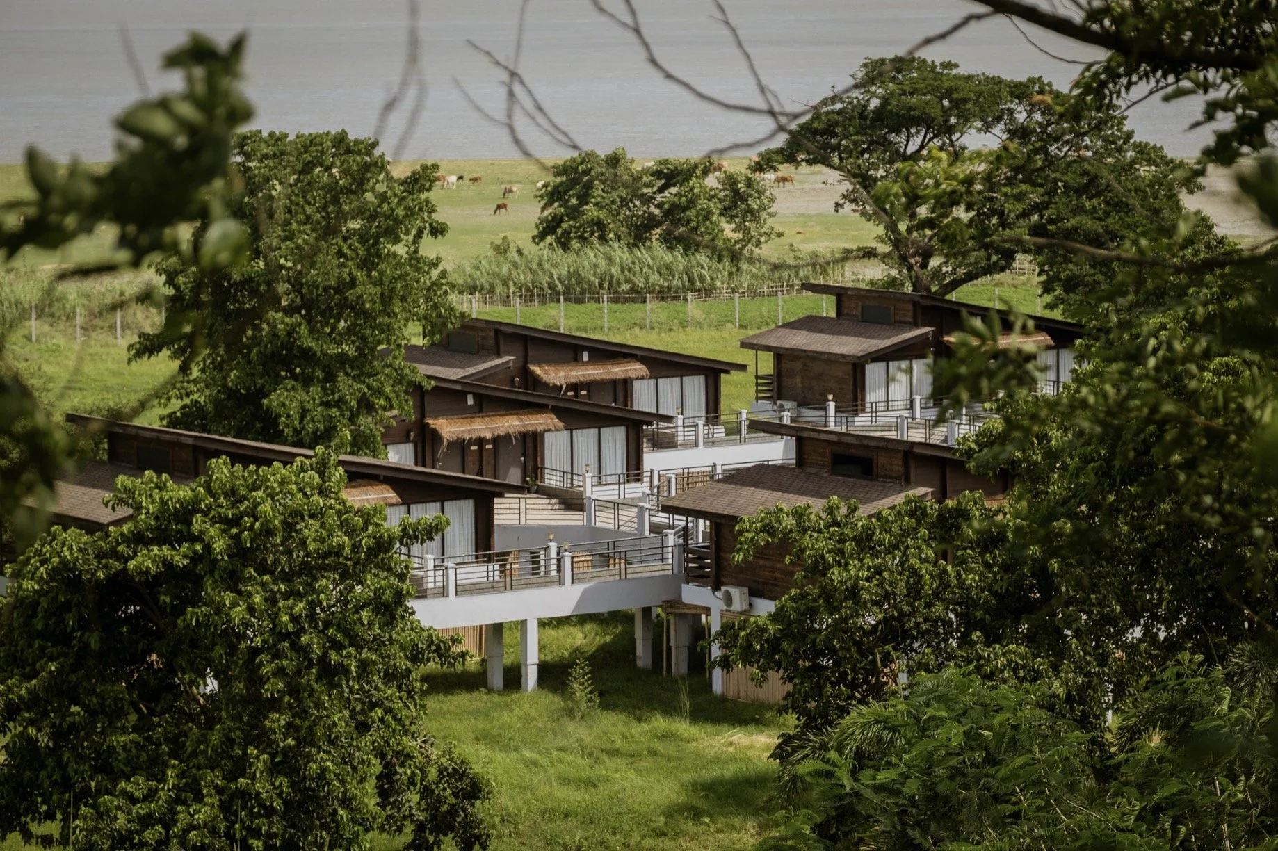 Rhino & River Wildlife Retreat & Spa, Pobitora