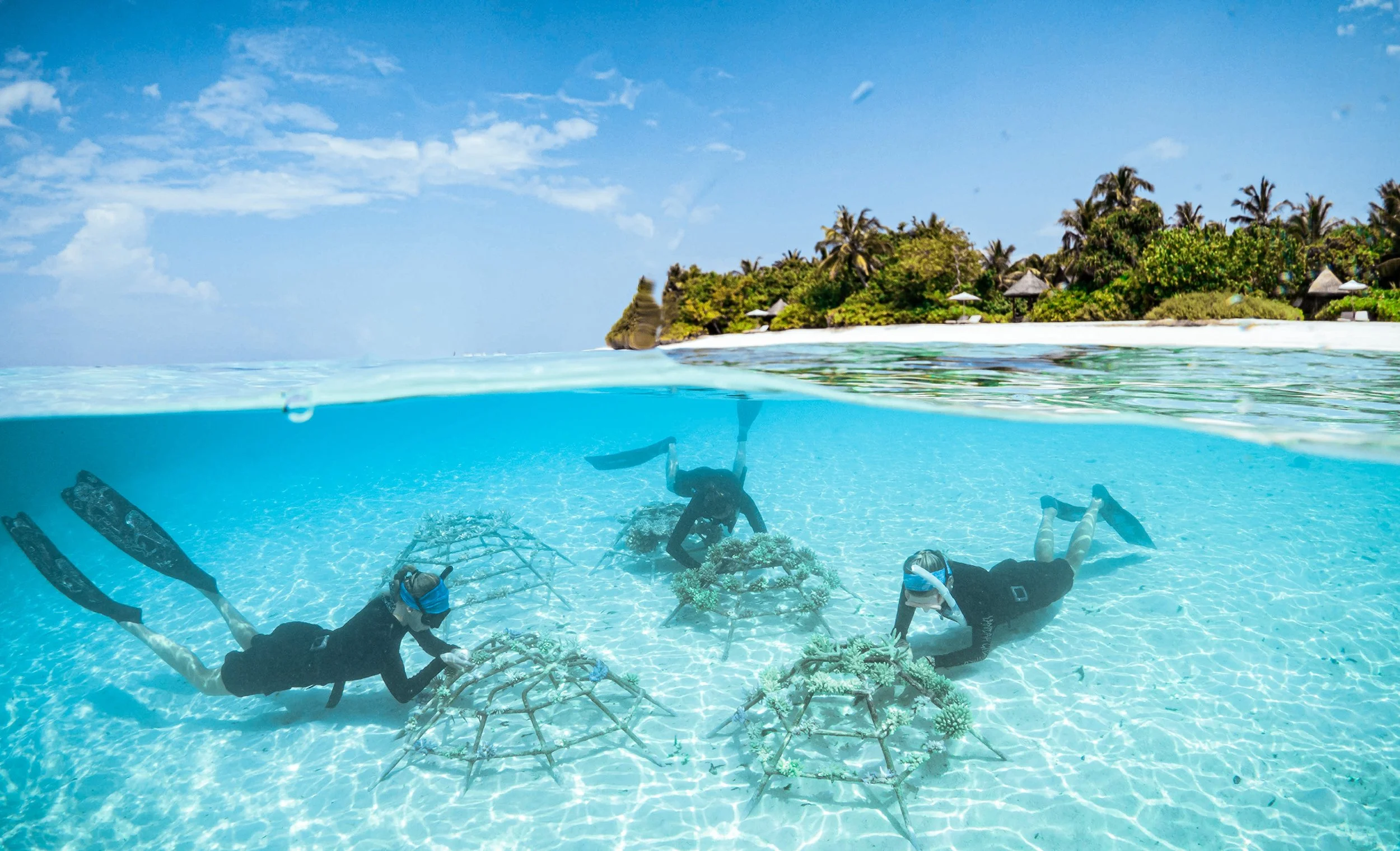 FS Landaa Giraavaru_Coral Propagation Project.jpg
