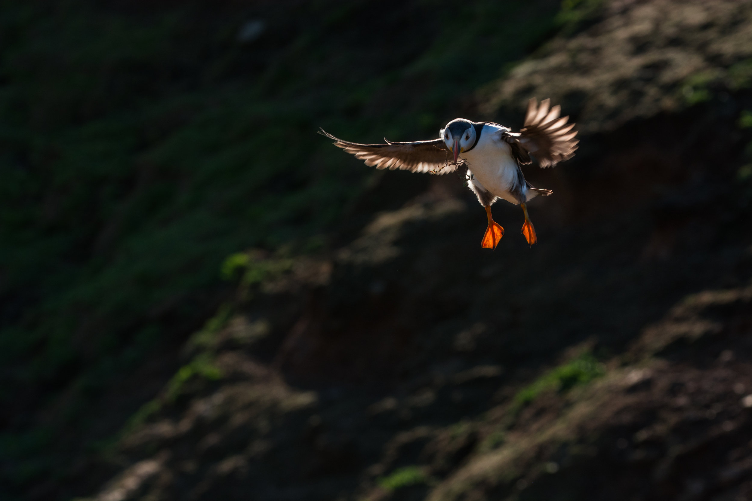 Uneasy landing