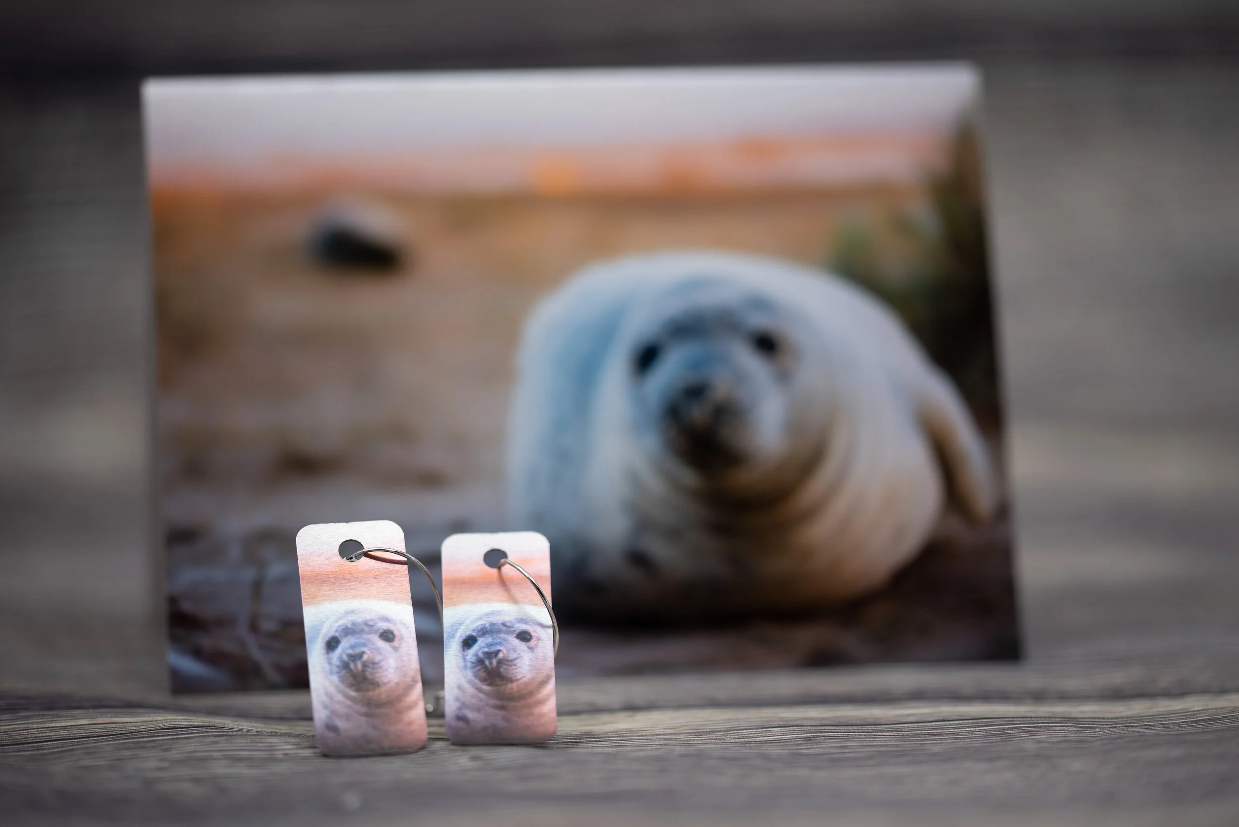 Seal Aluminium Dangle Earrings with matching postcard