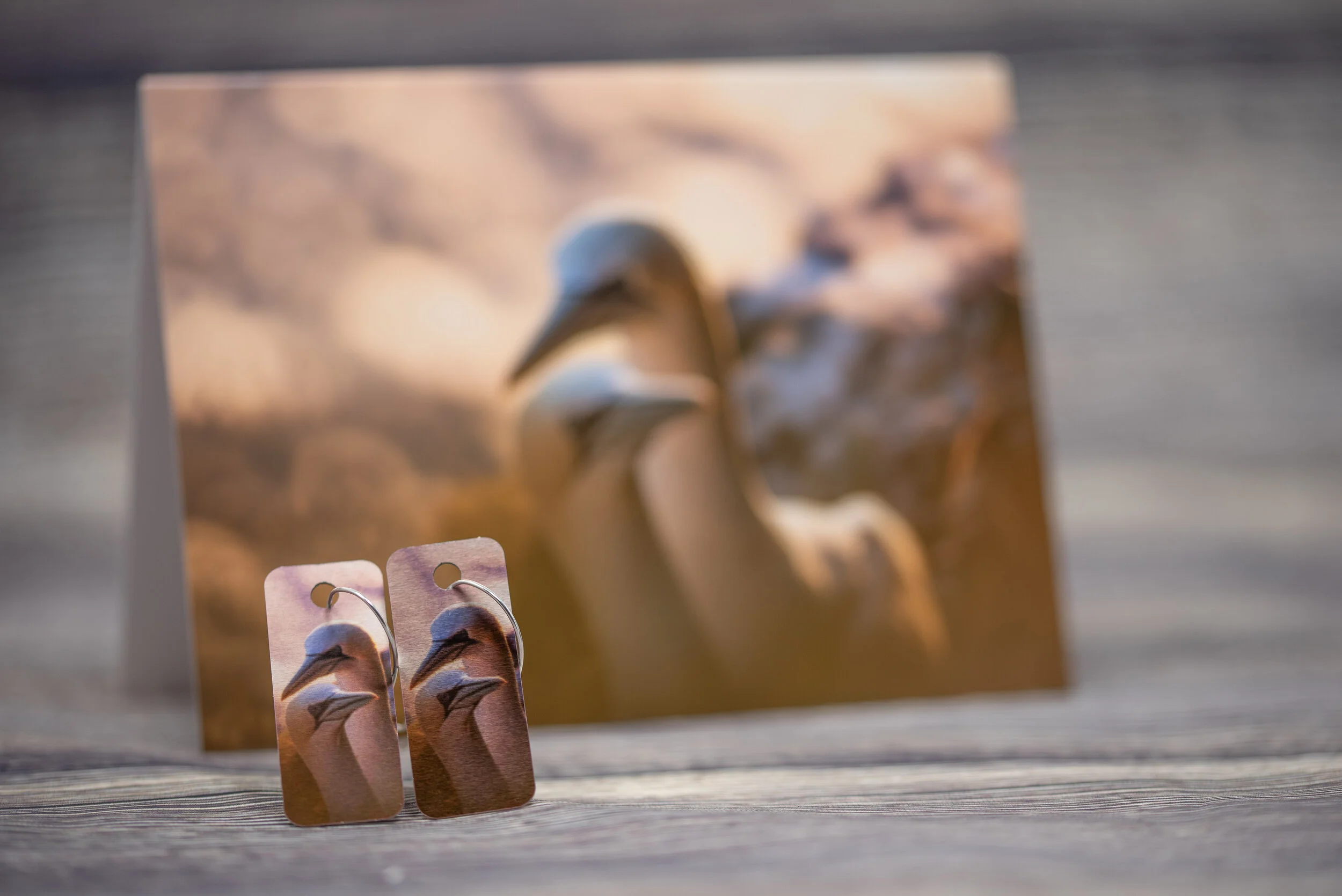 Gannet Aluminium Dangle Earring with matching postcard
